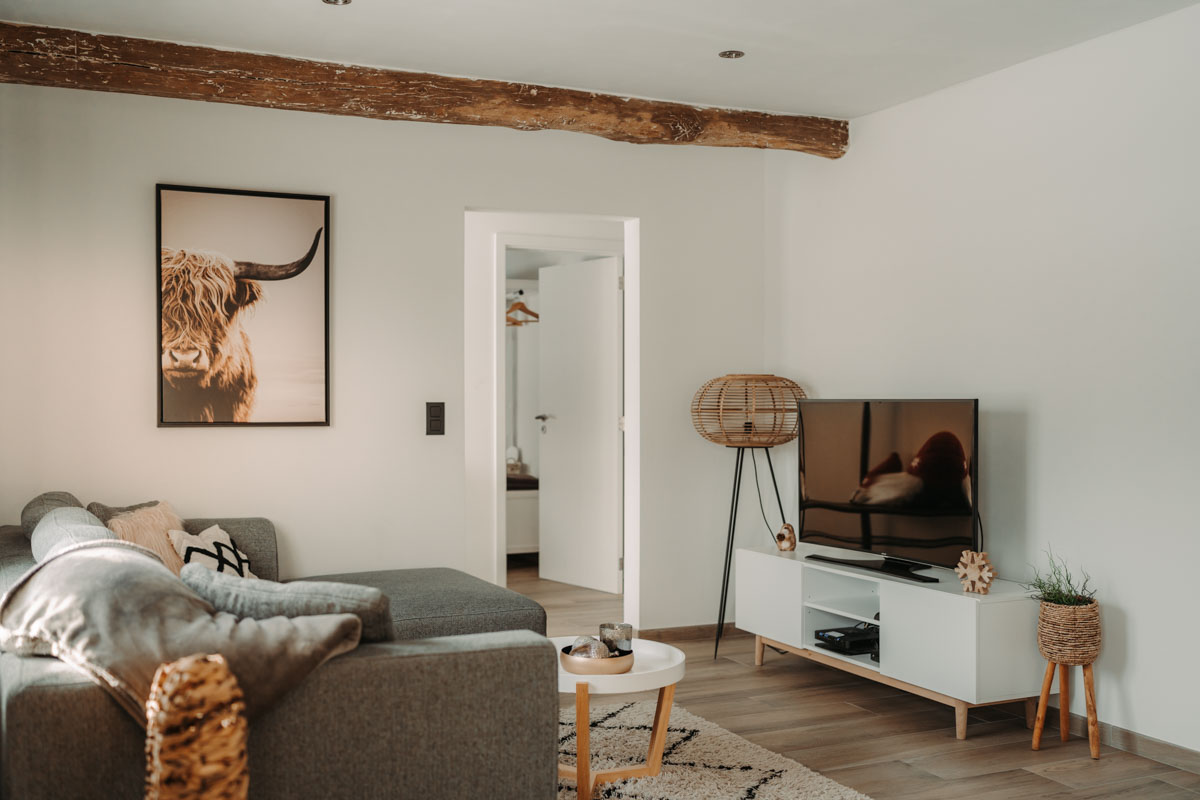 Immo & Airbnb - Exemple 20