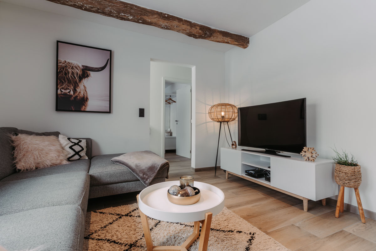 Immo & Airbnb - Exemple 41