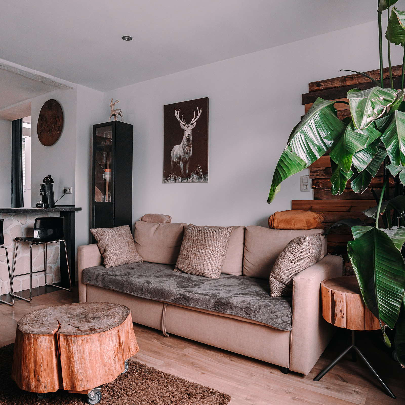 L'Annexe 2.0