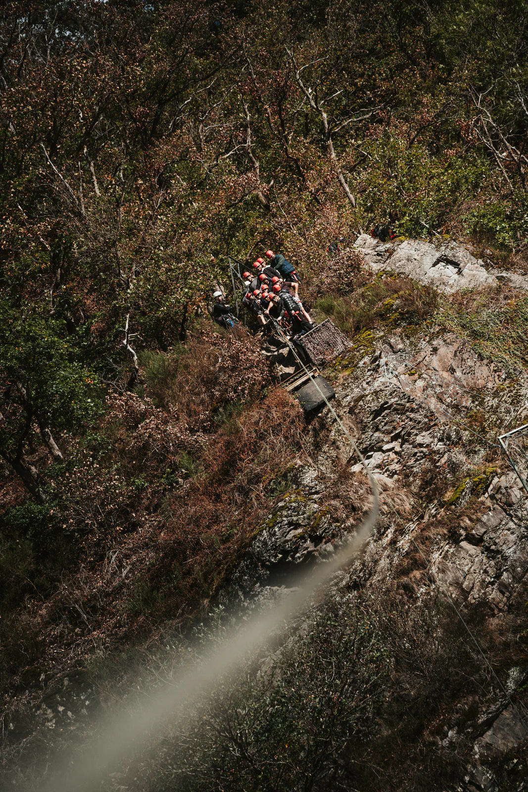 Codomo - Photo 56