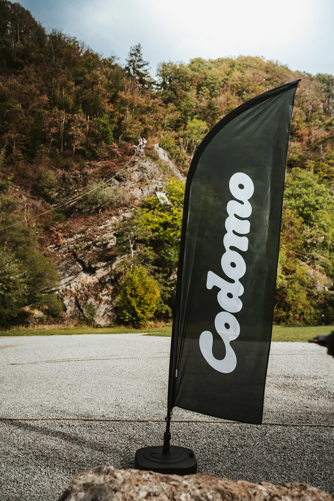 Codomo - Photo 57
